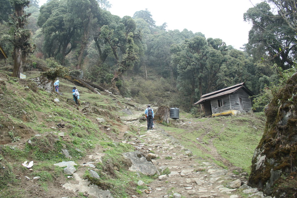 Photo of The Abode Of Snow: A Journey To Goecha La 6/32 by Riyanka Roy
