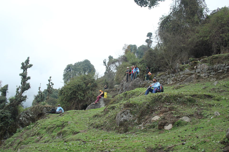 Photo of The Abode Of Snow: A Journey To Goecha La 11/32 by Riyanka Roy