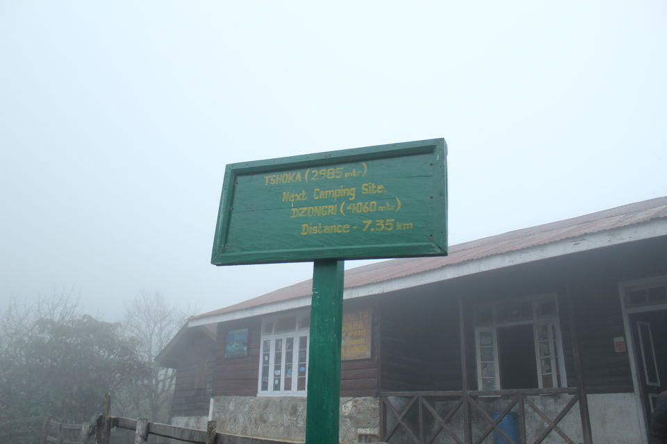 Photo of The Abode Of Snow: A Journey To Goecha La 12/32 by Riyanka Roy