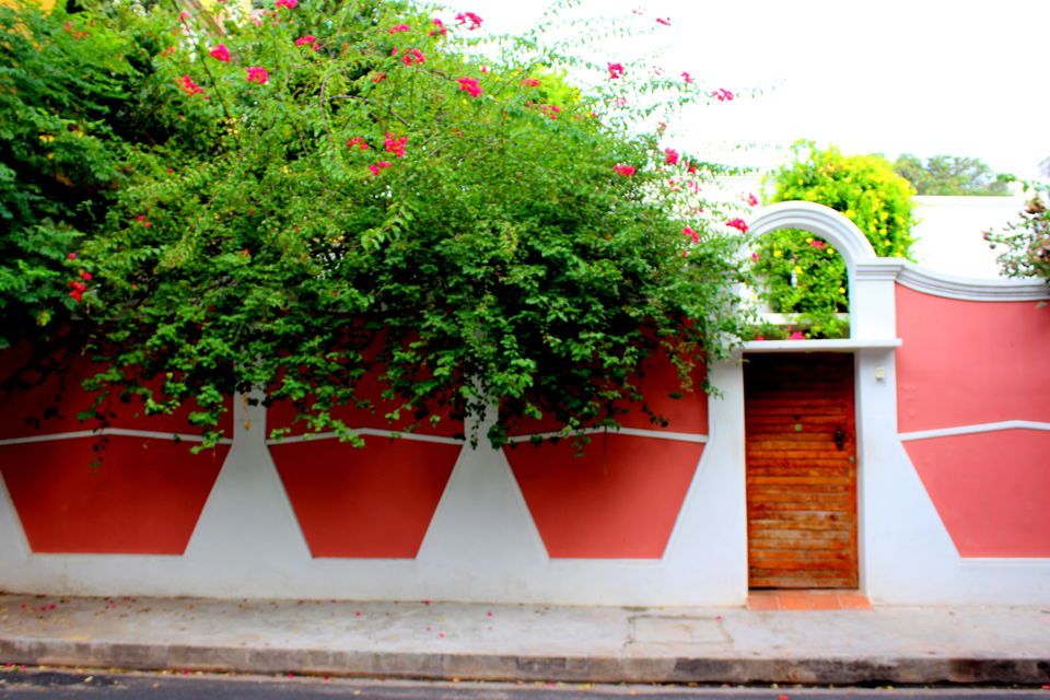 Photo of All About The Beautifully Colored Walls Of Pondicherry- A Photo Story! by Riyanka Roy