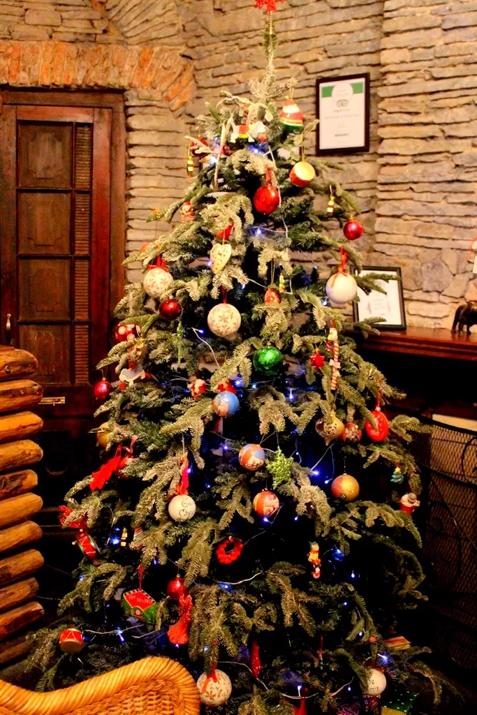 Photo of Rokeby Manor, Mussoorie, Mussoorie, Uttarakhand, India by Riyanka Roy