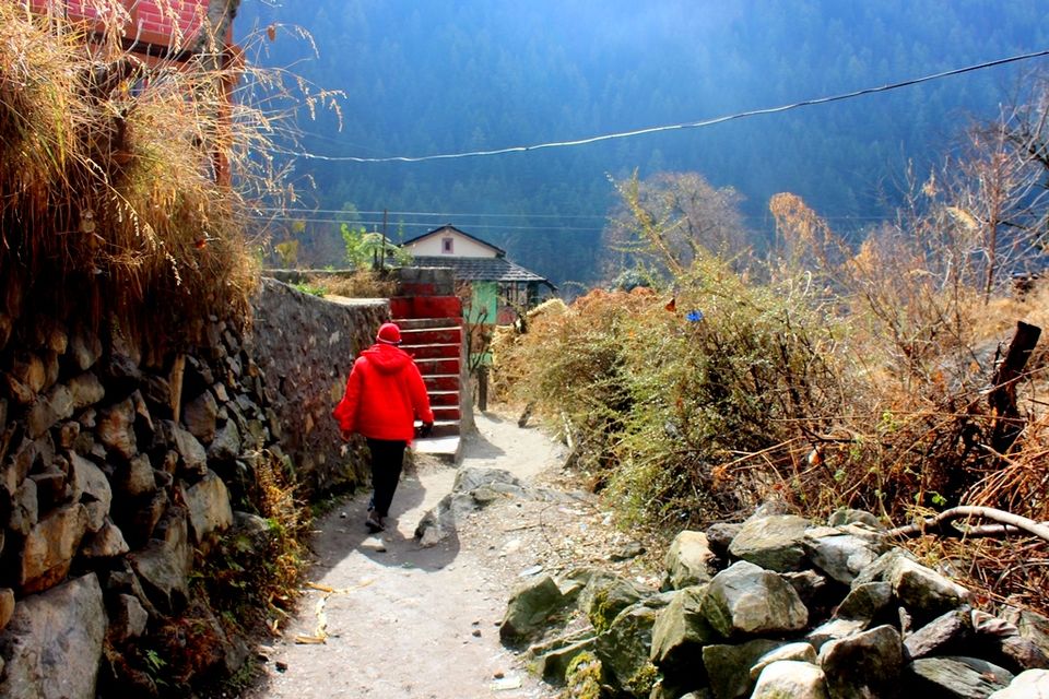 Photo of Kasol, Challal, Tosh and Manali - A Photo Story Of The Snow Trails 3/14 by Riyanka Roy
