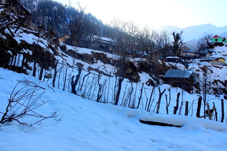 Photo of Kasol, Challal, Tosh and Manali - A Photo Story Of The Snow Trails 5/14 by Riyanka Roy