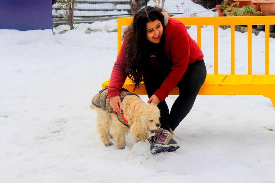 Photo of Kasol, Challal, Tosh and Manali - A Photo Story Of The Snow Trails 14/14 by Riyanka Roy