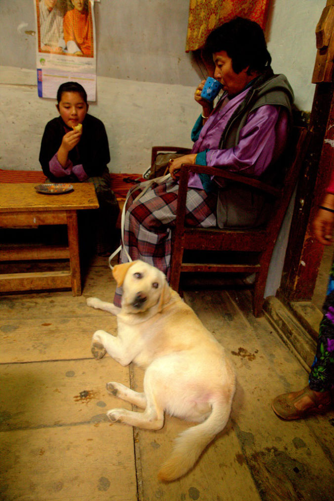 Photo of From A Little Shack In Haa Valley, Bhutan by Riyanka Roy