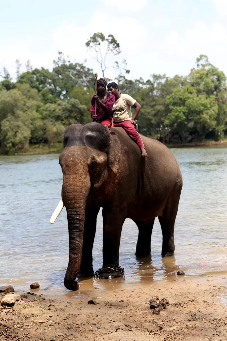 Photo of Dubare Elephant Camp, Nanjarayapatna, Karnataka, India by Riyanka Roy