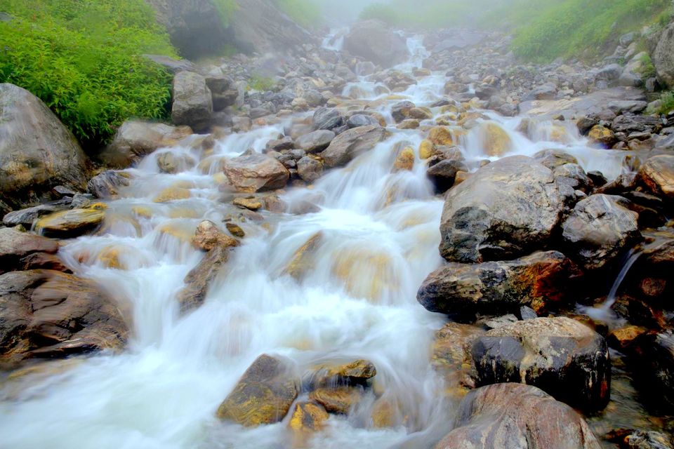 Photo of Valley Of Flowers: A Photostory Of Paradise 6/14 by Riyanka Roy