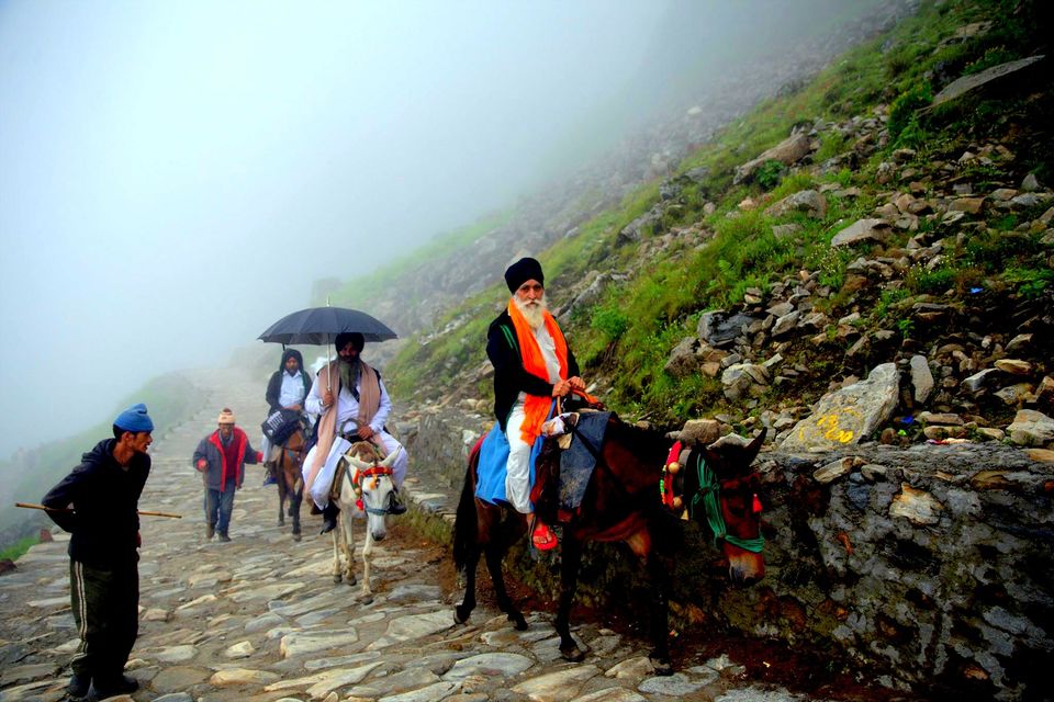 Photo of Valley Of Flowers: A Photostory Of Paradise 12/14 by Riyanka Roy