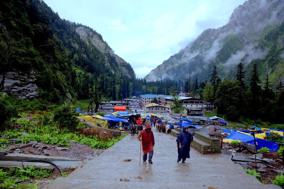 Photo of Valley Of Flowers: A Photostory Of Paradise 14/14 by Riyanka Roy