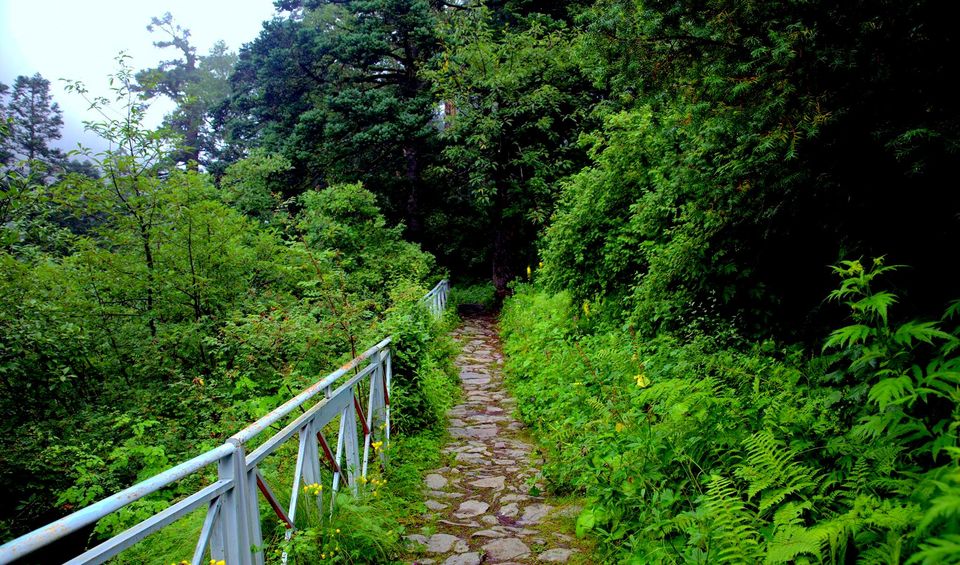 Photo of Valley Of Flowers: A Photostory Of Paradise 5/14 by Riyanka Roy