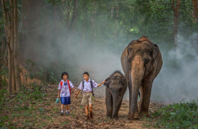 Photo of 5 Most Underrated Destinations in Thailand That You Must Visit 2/5 by Riyanka Roy