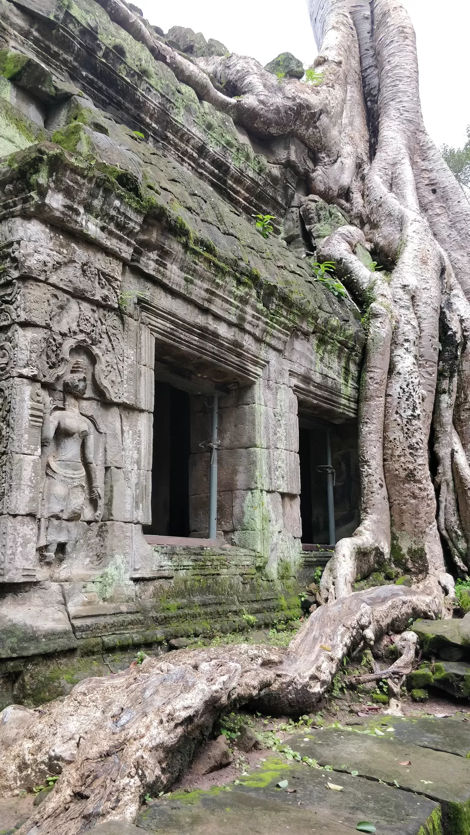Photo of Ta Prohm, Krong Siem Reap, Cambodia by Riyanka Roy