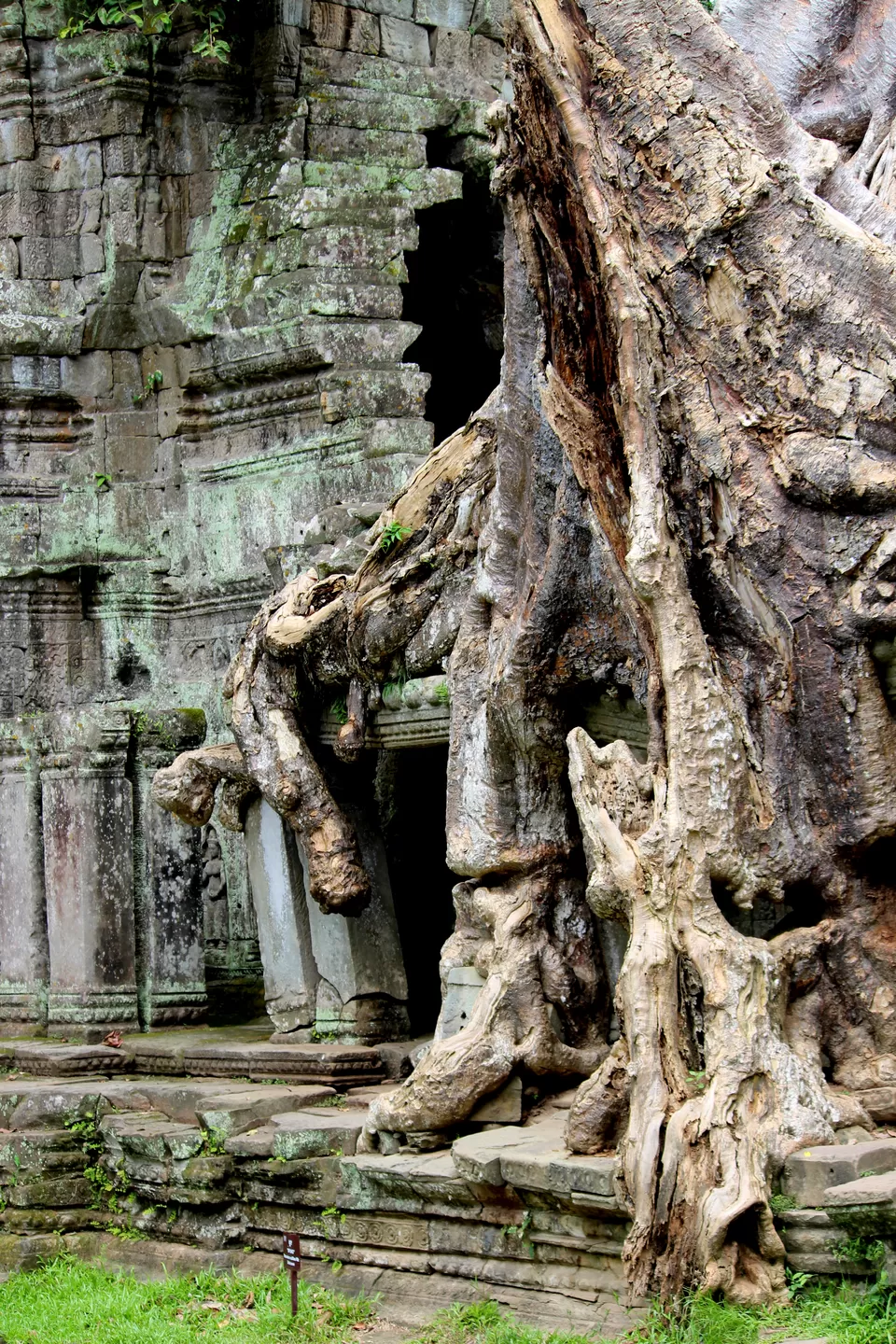 Photo of Ta Prohm, Krong Siem Reap, Cambodia by Riyanka Roy
