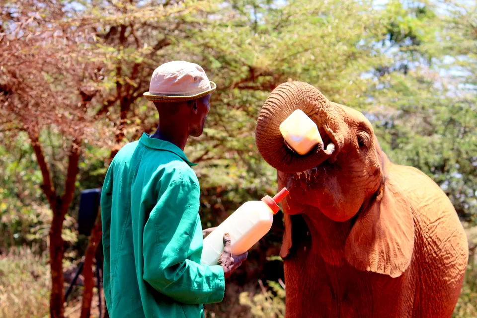 Photo of Nairobi, Kenya by Riyanka Roy