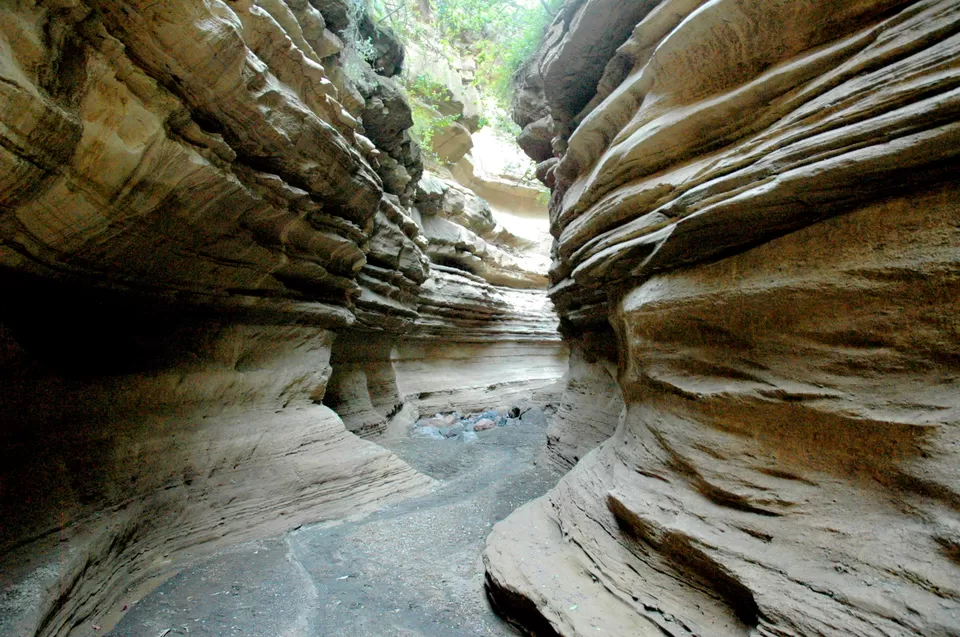 Photo of Know Why You Must Travel To Kenya At Least Once In A Lifetime! by Riyanka Roy