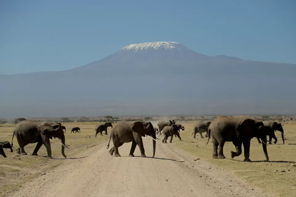 Photo of Know Why You Must Travel To Kenya At Least Once In A Lifetime! by Riyanka Roy