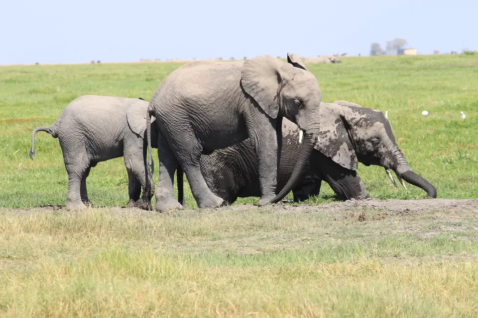 Photo of Know Why You Must Travel To Kenya At Least Once In A Lifetime! by Riyanka Roy