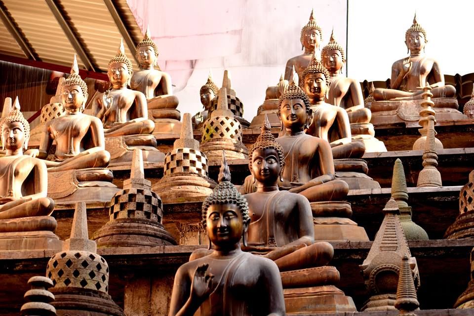 Photo of 5 Unmatched Reasons To Travel To Sri Lanka 10/11 by Riyanka Roy