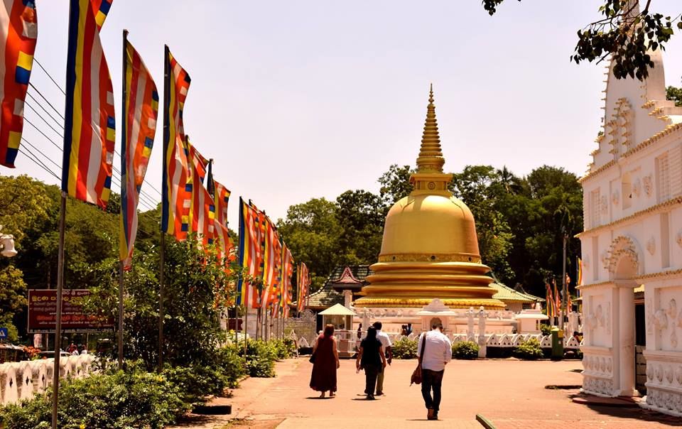 Photo of 5 Unmatched Reasons To Travel To Sri Lanka 11/11 by Riyanka Roy