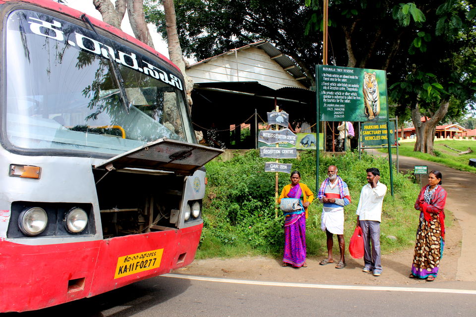 Photo of The Right Bus Took Me to the Wrong Destination: An Epic Road Trip Adventure! 2/3 by Riyanka Roy
