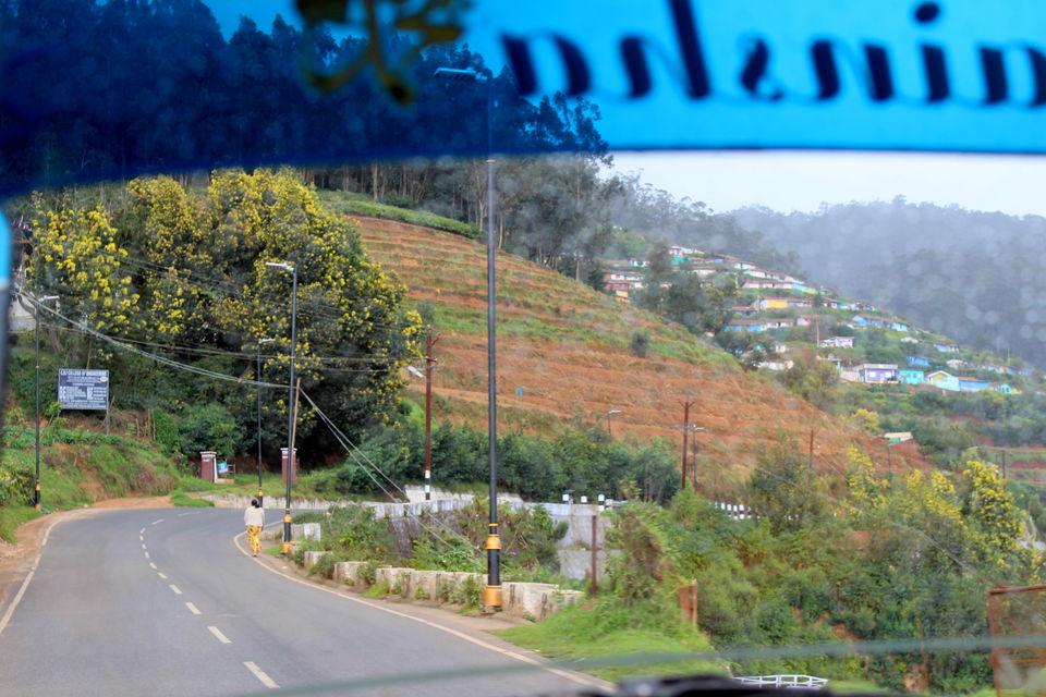 Photo of The Right Bus Took Me to the Wrong Destination: An Epic Road Trip Adventure! 3/3 by Riyanka Roy