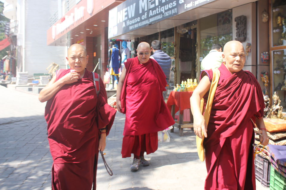 Photo of Escape to Mcleodganj: The Land of Lamas! 1/8 by Riyanka Roy
