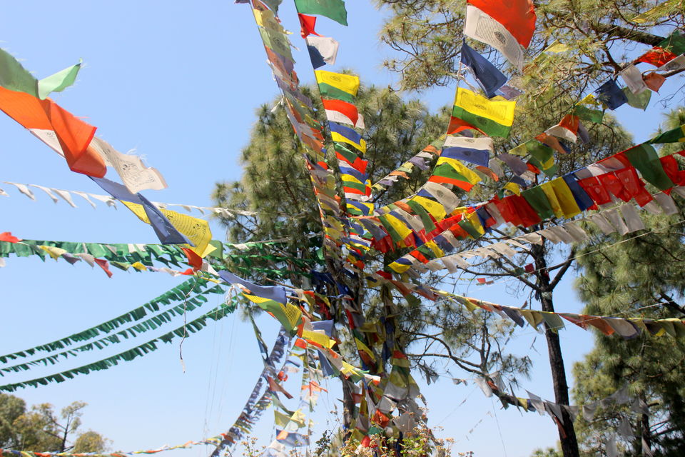 Photo of Escape to Mcleodganj: The Land of Lamas! 5/8 by Riyanka Roy