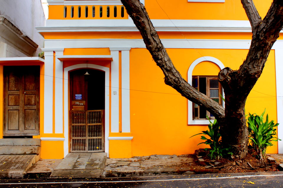 Photo of 16 Days, 10K INR - Exploring The Best Of South India 1/12 by Riyanka Roy