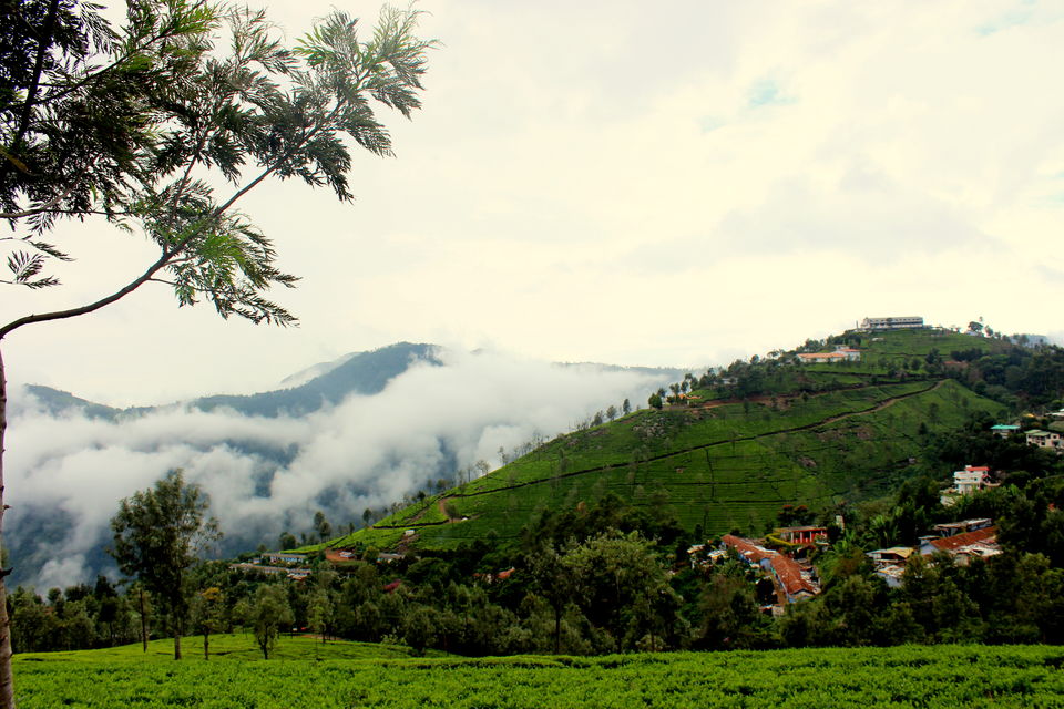 Photo of 16 Days, 10K INR - Exploring The Best Of South India 4/12 by Riyanka Roy
