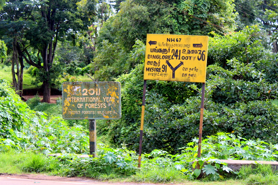 Photo of 16 Days, 10K INR - Exploring The Best Of South India 5/12 by Riyanka Roy