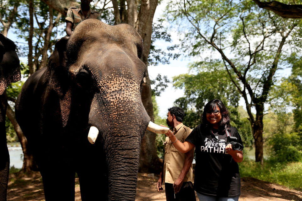 Photo of 16 Days, 10K INR - Exploring The Best Of South India 8/12 by Riyanka Roy