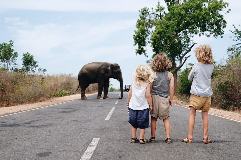 Photo of Add Yala National Park To Your Sri Lanka Bucketlist 1/6 by Riyanka Roy