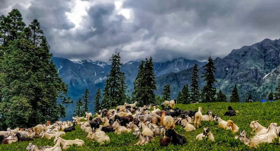 Photo of 8 Glaciers In India That Every Trekker Needs to Visit Before They Disappear 8/8 by Riyanka Roy