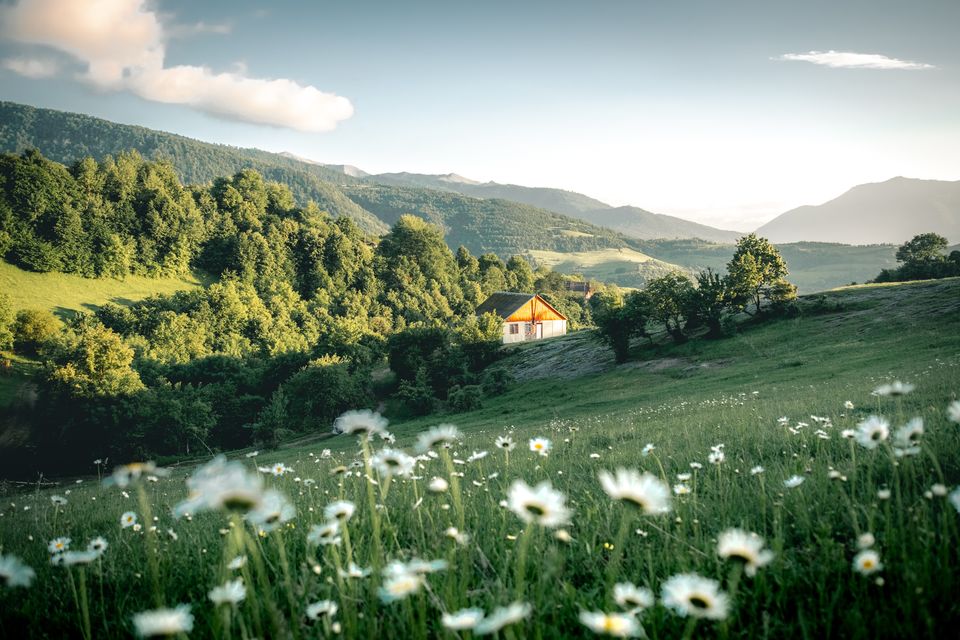 Photo of Planning To Travel Abroad? These Countries Are Accepting Visa Applications From Indian Travellers! 23/25 by Riyanka Roy