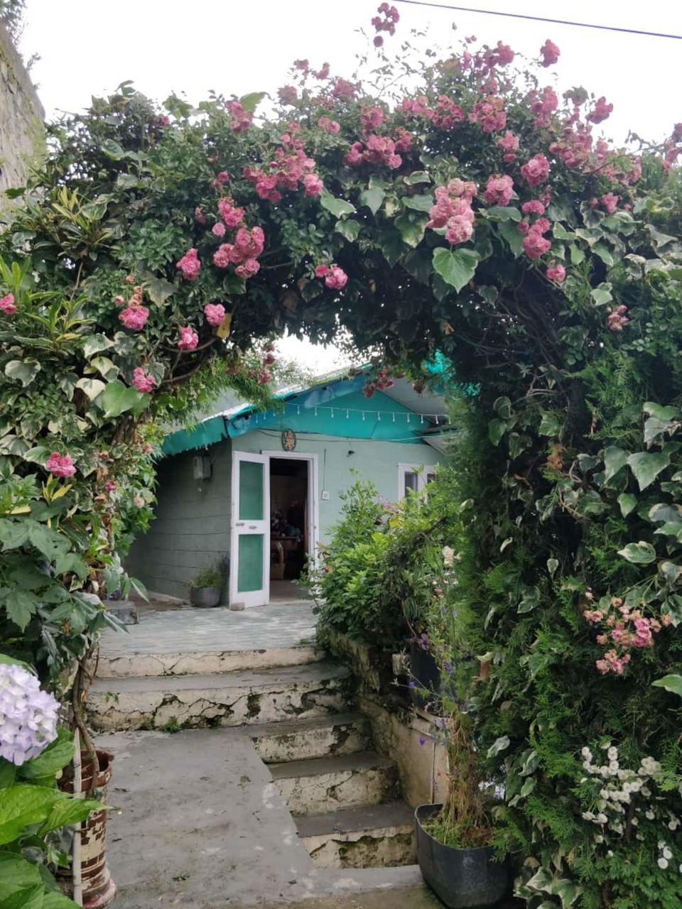 Photo of Spend A Night For Less Than 1500 INR At These Cozy Stays In Shimla 5/9 by Riyanka Roy