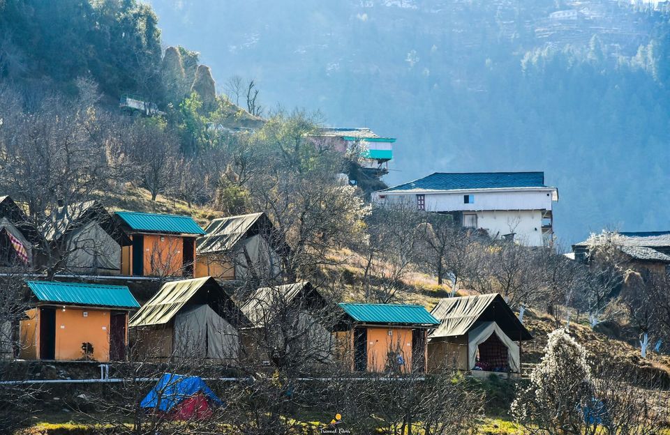 Photo of Spend A Night For Less Than 1500 INR At These Cozy Stays In Shimla 8/9 by Riyanka Roy
