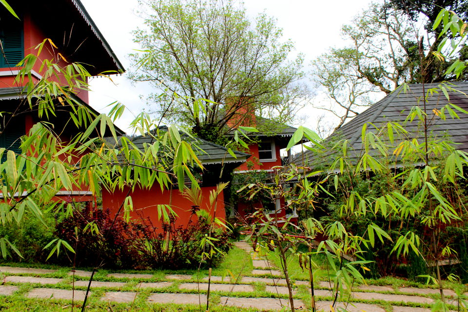 Photo of Coorg Wilderness Resort: Discovering A Rare Ethos Of Luxury Embedded In The Gracious Lap Of Nature 2/11 by Riyanka Roy