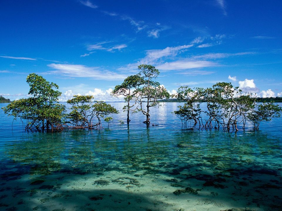 Photo of Wondering Where To Travel In October? Here Are The 10 Best Places For You To Choose From! 4/10 by Riyanka Roy