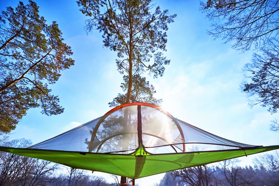 Photo of Bookmark for 2022: Spend A Night At India's Greenest Tree Hotel Set Amidst a Picturesque Tea Garden! 1/5 by Riyanka Roy