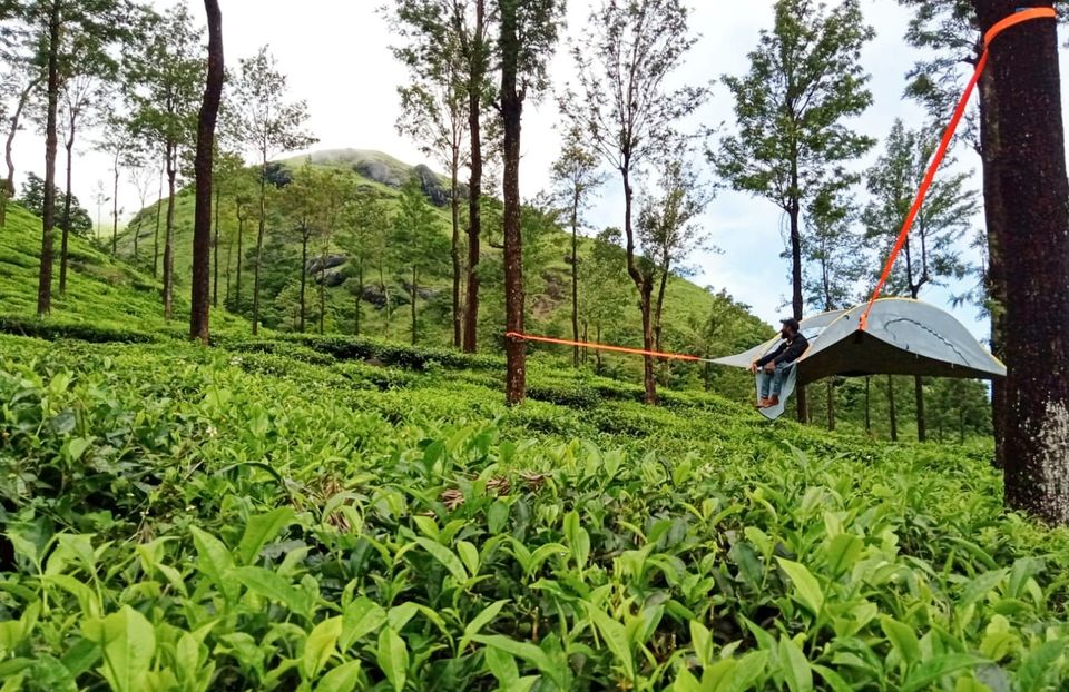 Photo of Bookmark for 2022: Spend A Night At India's Greenest Tree Hotel Set Amidst a Picturesque Tea Garden! 3/5 by Riyanka Roy