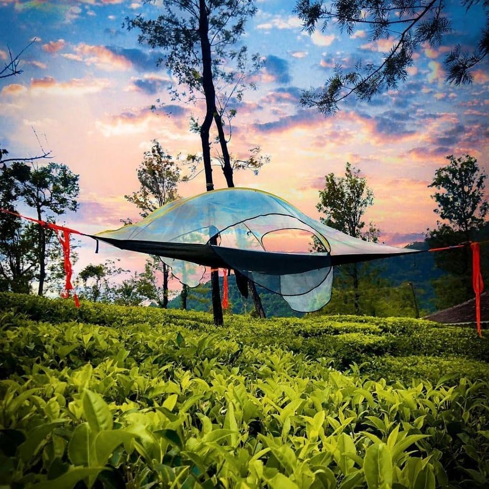 Photo of Bookmark for 2022: Spend A Night At India's Greenest Tree Hotel Set Amidst a Picturesque Tea Garden! 5/5 by Riyanka Roy