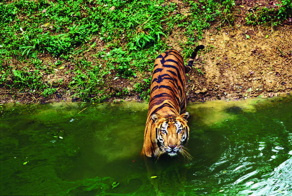 Photo of Top 13 Places To Visit in April To Welcome The Beginning Of Spring by Sreshti Verma