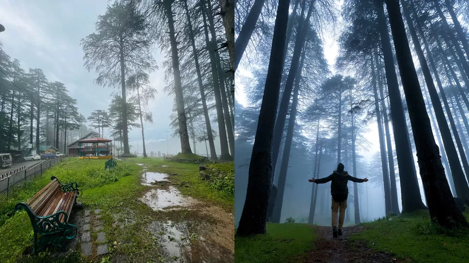 Photo of Patnitop, Jammu and Kashmir by Nargis Farheena 