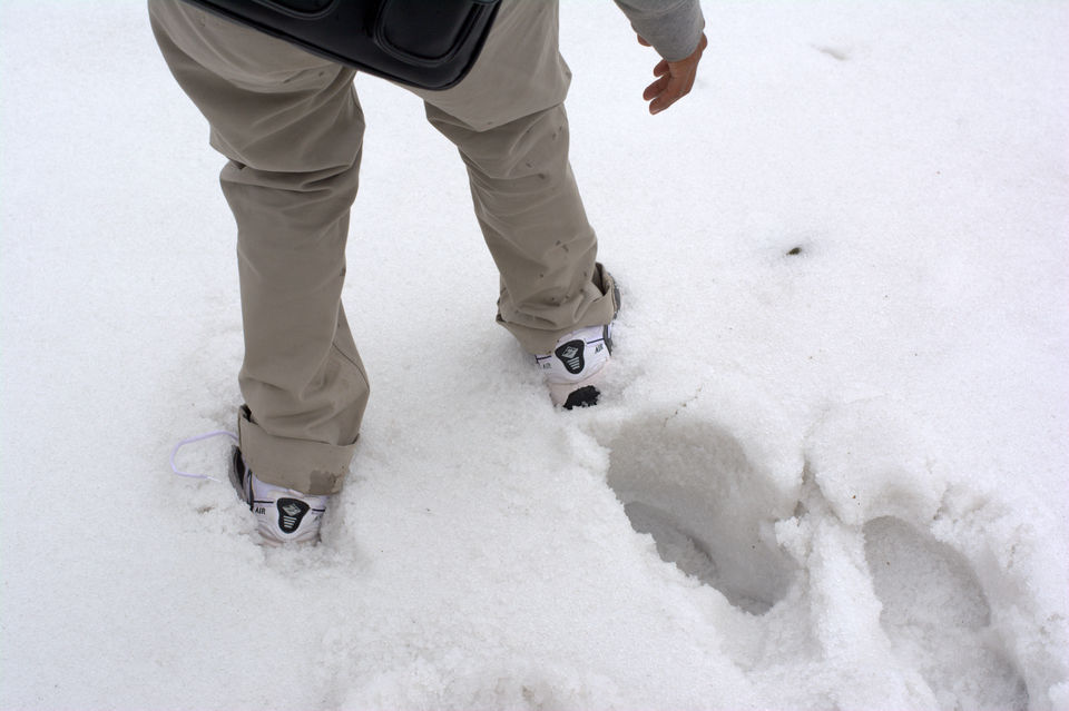 Photo of Sikkim: The Tale Of Snow Trails 5/22 by Riyanka Roy