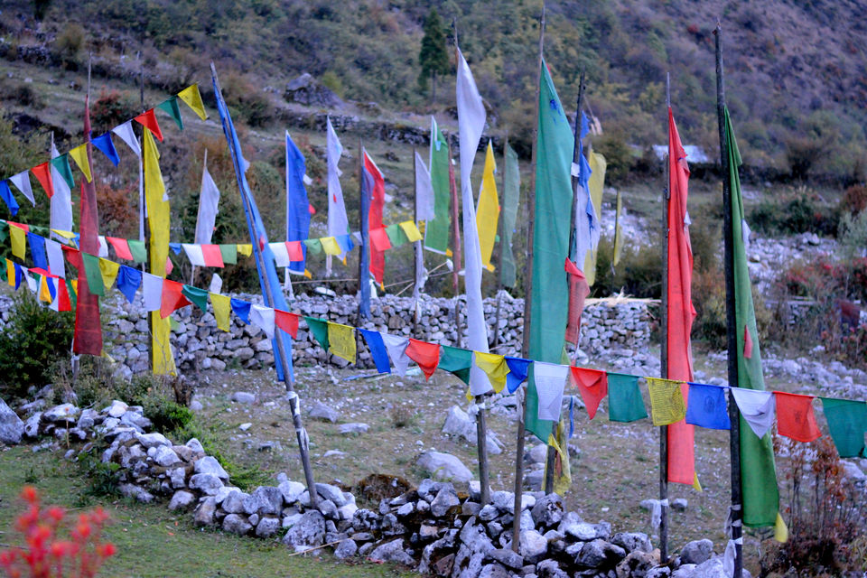 Photo of Sikkim: The Tale Of Snow Trails 12/22 by Riyanka Roy