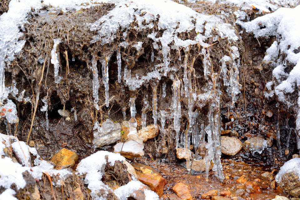 Photo of Sikkim: The Tale Of Snow Trails 16/22 by Riyanka Roy