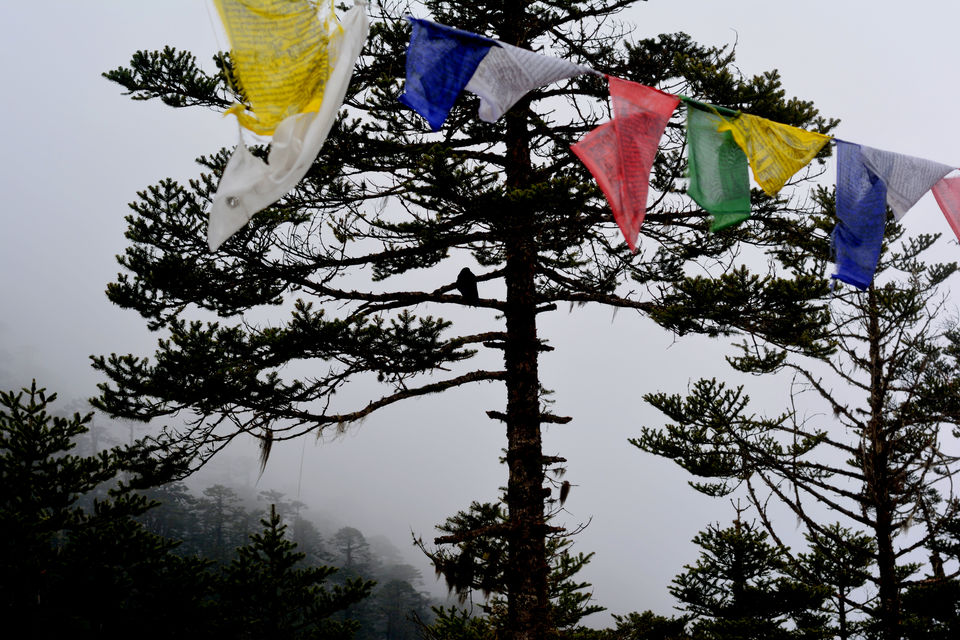 Photo of Sikkim: The Tale Of Snow Trails 20/22 by Riyanka Roy