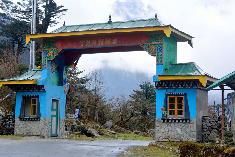 Photo of Sikkim: The Tale Of Snow Trails 22/22 by Riyanka Roy