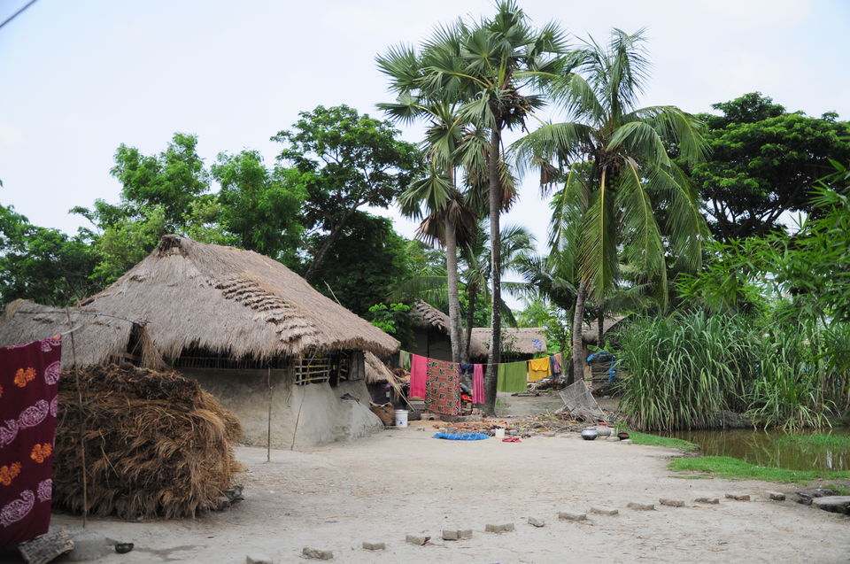 Photo of Backpacking @ Eco-village, Sunderbans (West Bengal, India) 12/17 by Riyanka Roy