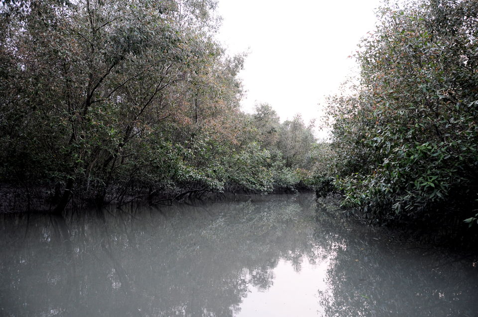 Photo of Backpacking @ Eco-village, Sunderbans (West Bengal, India) 14/17 by Riyanka Roy